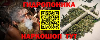 крисы Будённовск
