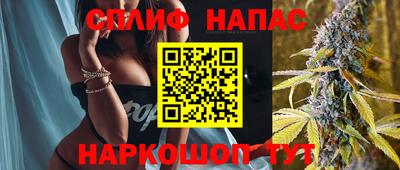 крисы Будённовск