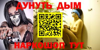 крисы Будённовск