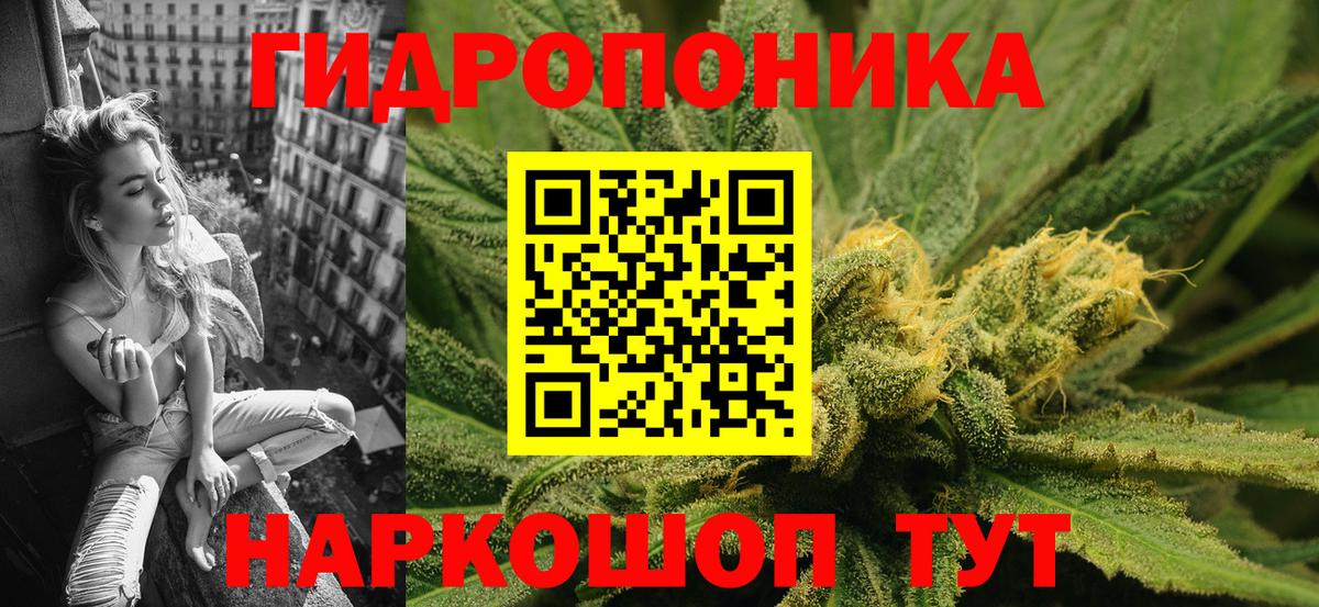 Канабис Amnesia  Вход с VPN  Саратов  Каннабис OG Kush 